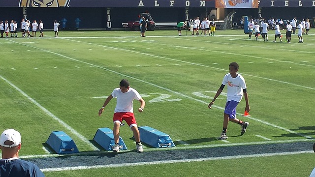 效力多年的 效力多年的